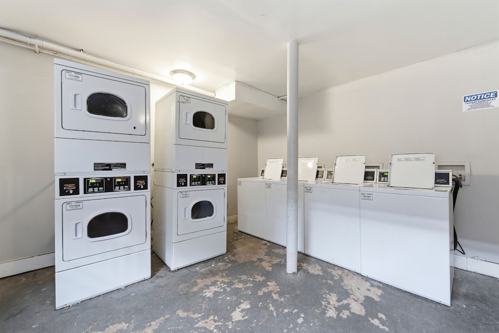 Gallery Image 9